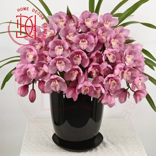 Cymbidium 1310-N26-046
