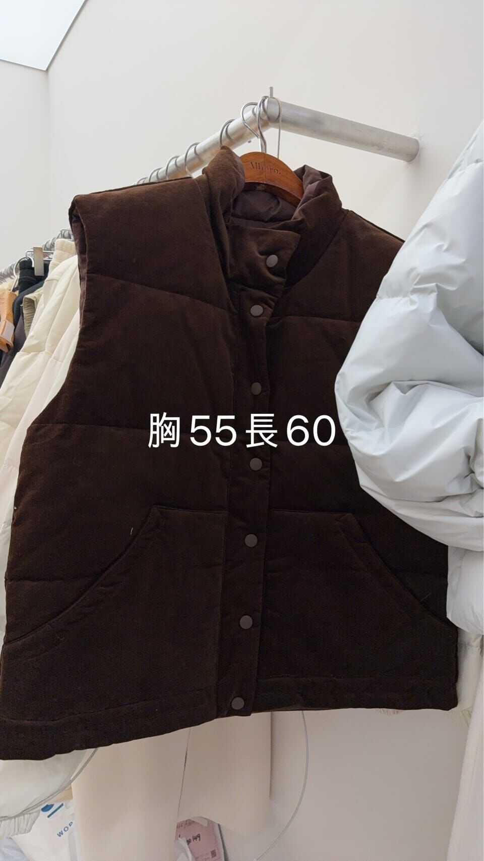 DR5443 簡約立領羽絨背心 *特價* (優惠碼同充值購物金不適用)