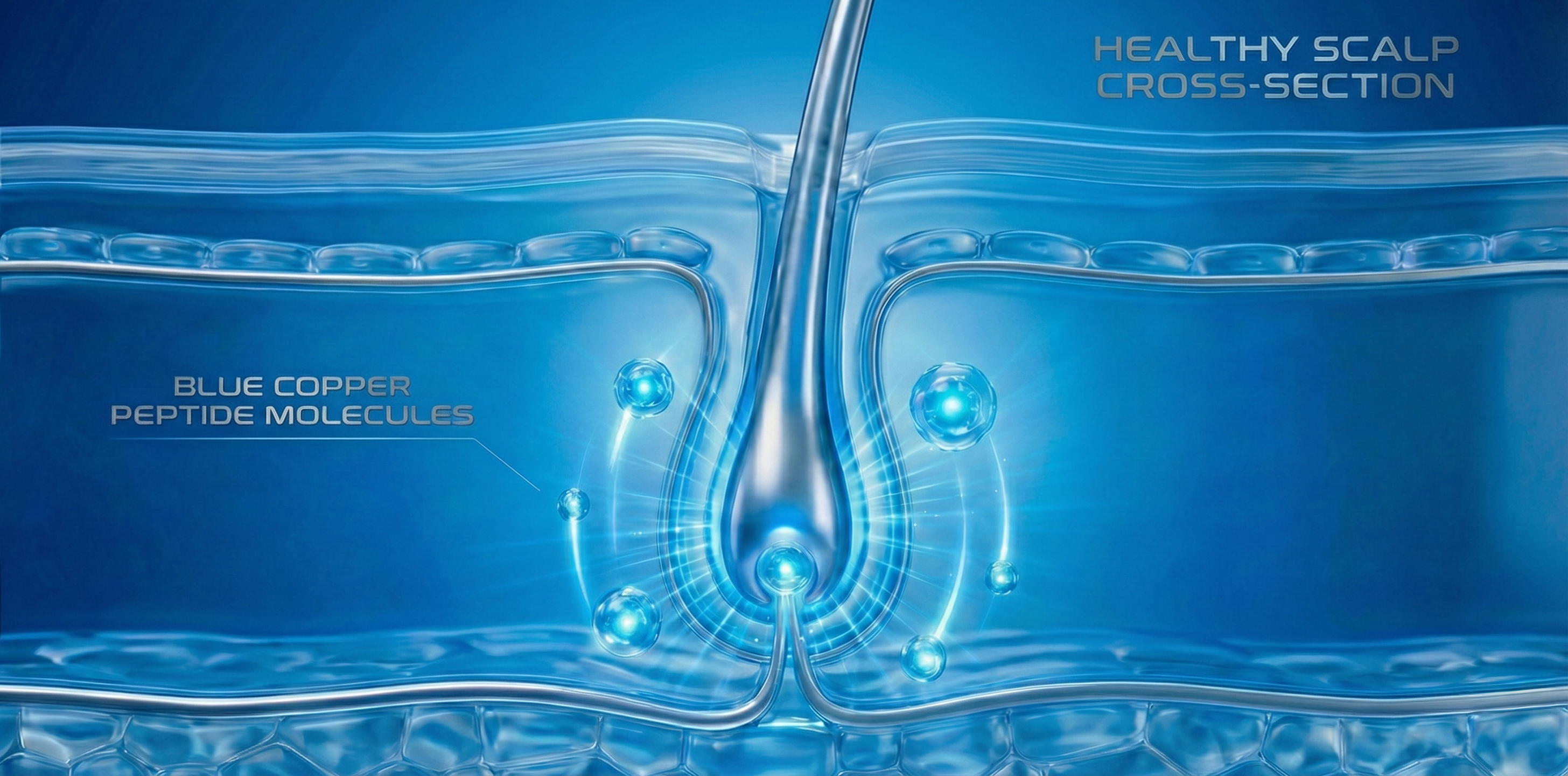 60天豐盈實測大圖