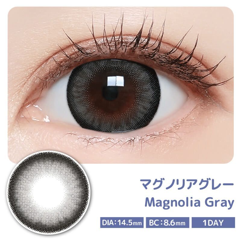Majette 1 Day (Magnolia Gray) (10片)