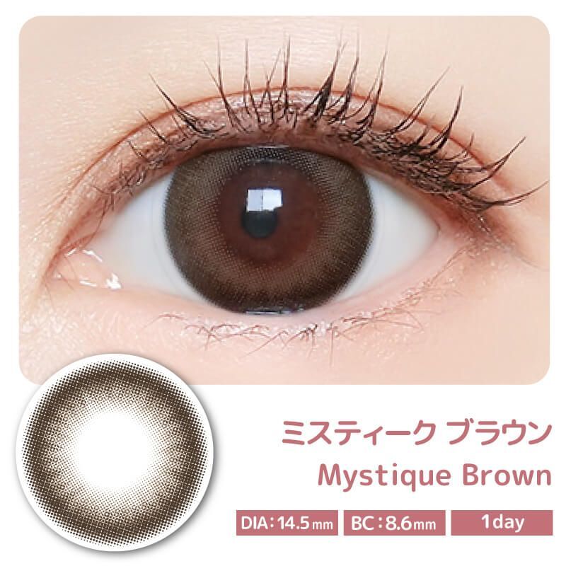 Majette 1 Day (Mystique Brown) (10片)