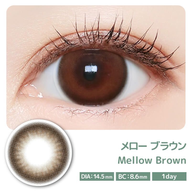 Majette 1 Day (Mellow Brown) (10片)