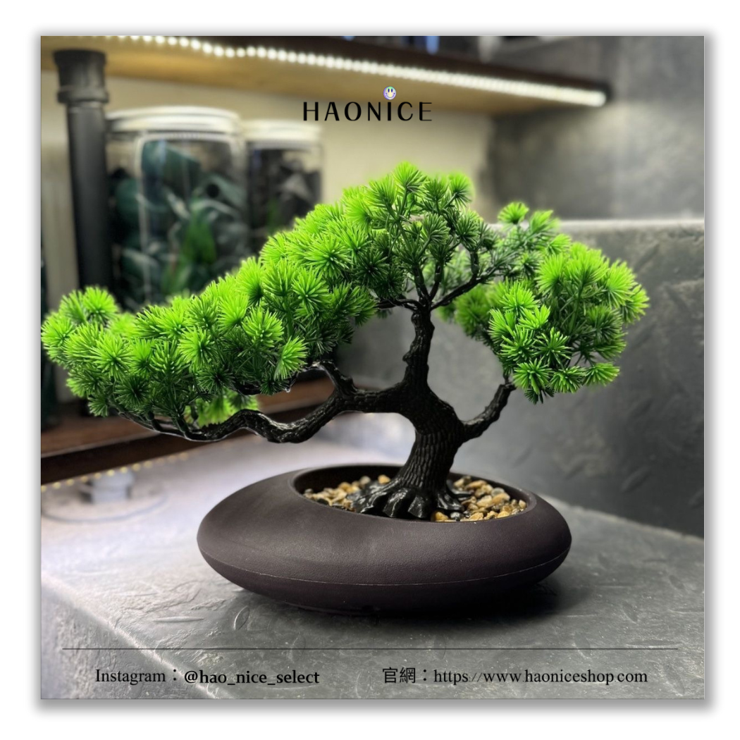【HAO NICE】100%正品 原創潮流精品🔥仿真迎客松 綠植盆景 仿真植物盆栽 居家擺飾