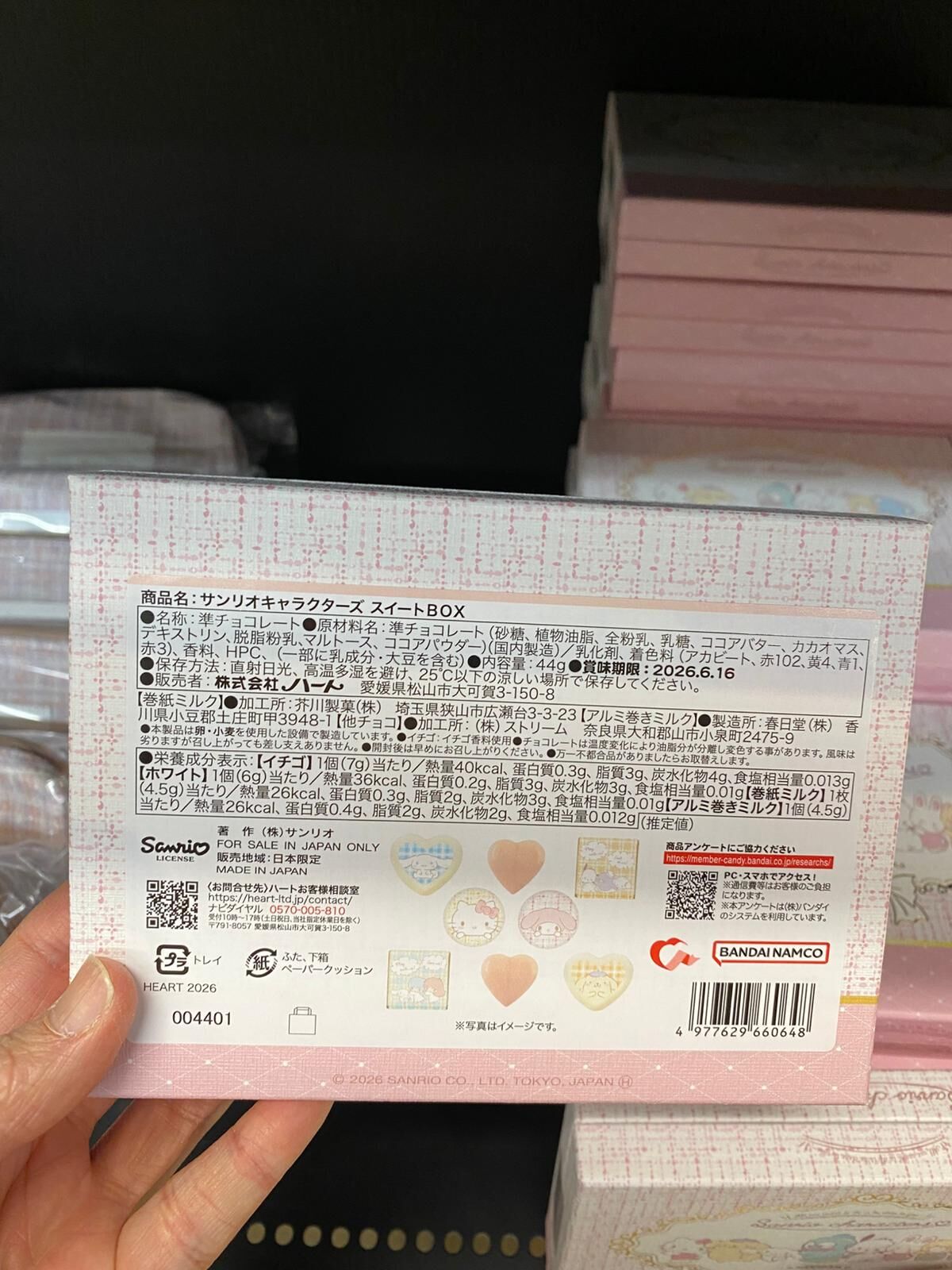 🇯🇵 日本 Sanrio Characters 甜心朱古力禮盒｜多款造型｜送禮首選 💝