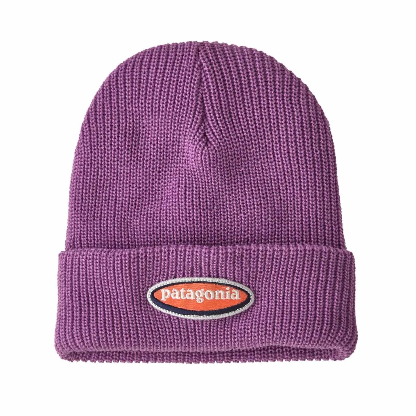 [Patagonia] 大童 Logo Beanie 毛帽 FW25 (PT66046)