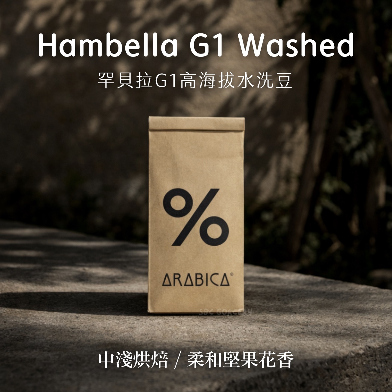 【24H出貨】%𝗔𝗿𝗮𝗯𝗶𝗰𝗮罕貝拉G1高海拔水洗豆