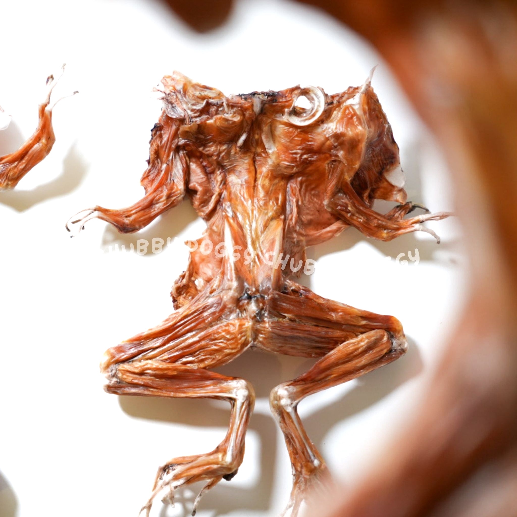 酥酥牛蛙｜人食等級田雞肉