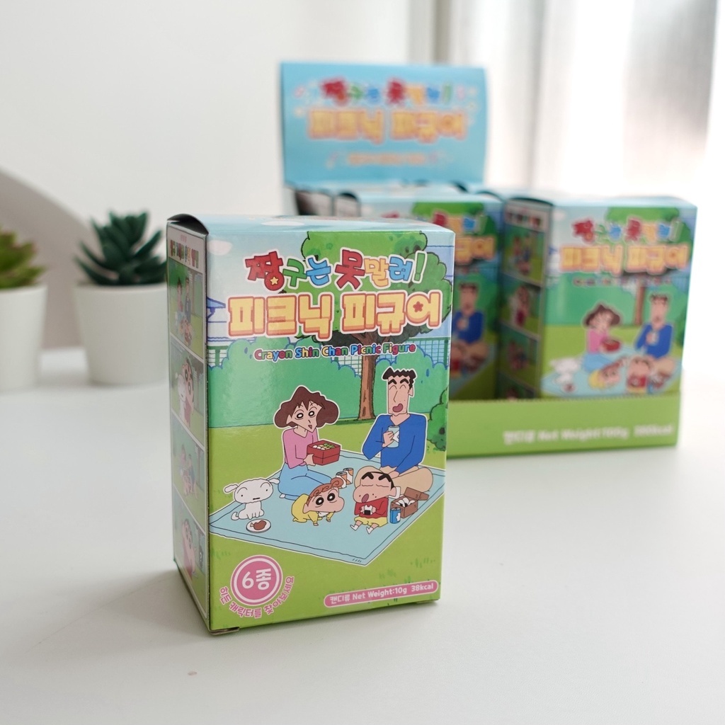 韓國蠟筆小新盒玩 野原一家 野餐公仔 小新 小葵 小白 小愛 廣志 美芽 盒玩 盲盒 全新未拆 正版授權