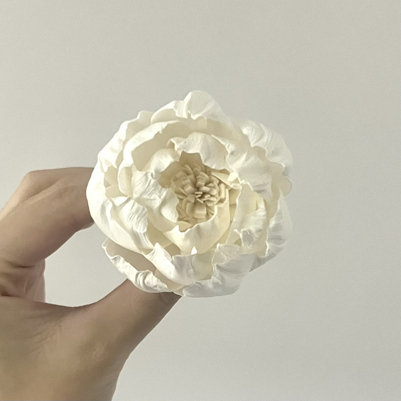 泰國索拉花 牡丹(新款)  6CM  (高品質)