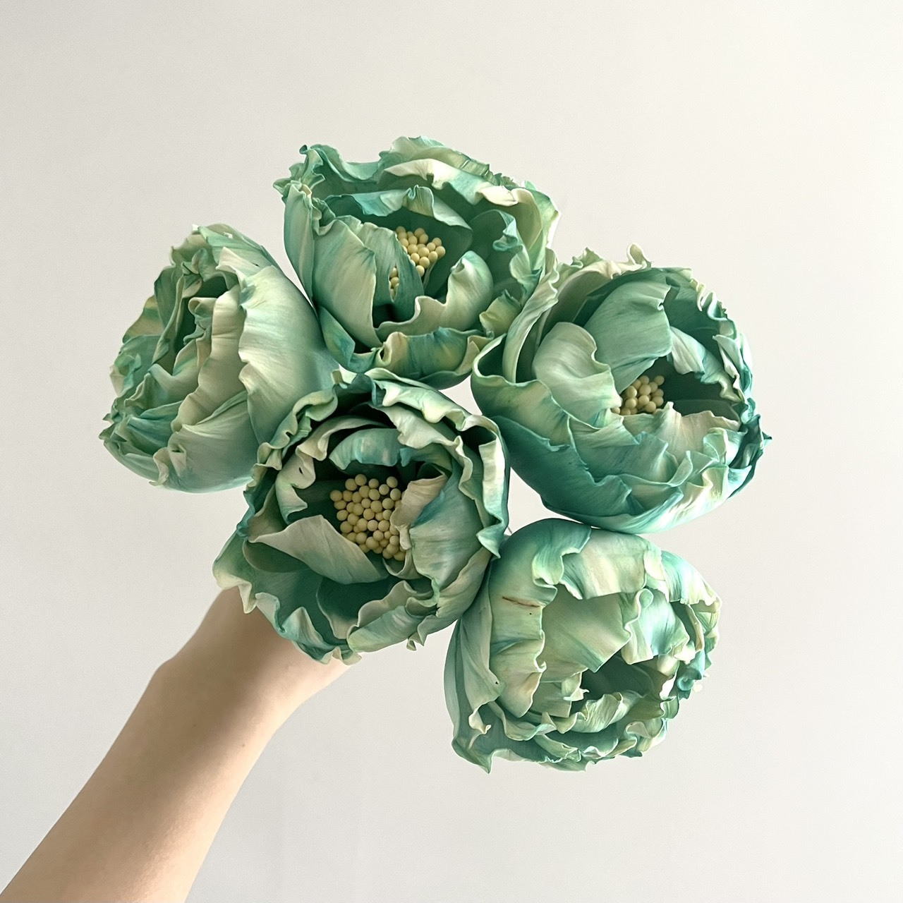 泰國索拉花 水染牡丹8CM(2色)<5支一把> (高品質)