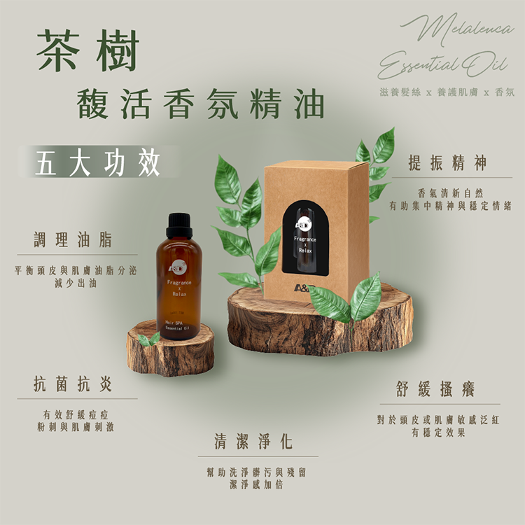 茶樹精油,控油抗痘精油,天然抗菌精油,舒緩頭皮癢,茶樹洗髮精添加,泡澡淨化精油,芳療精油推薦,油性肌膚精油,草本芳療,頭皮護理精油,茶樹香氛精油