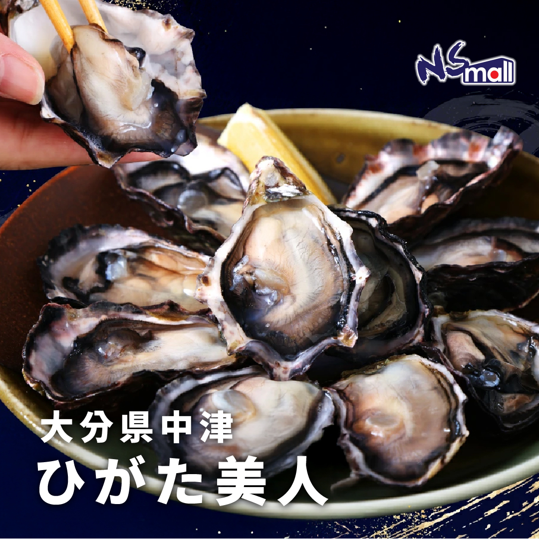 大分県中津 ひがた美人 生蠔 50-80g/隻