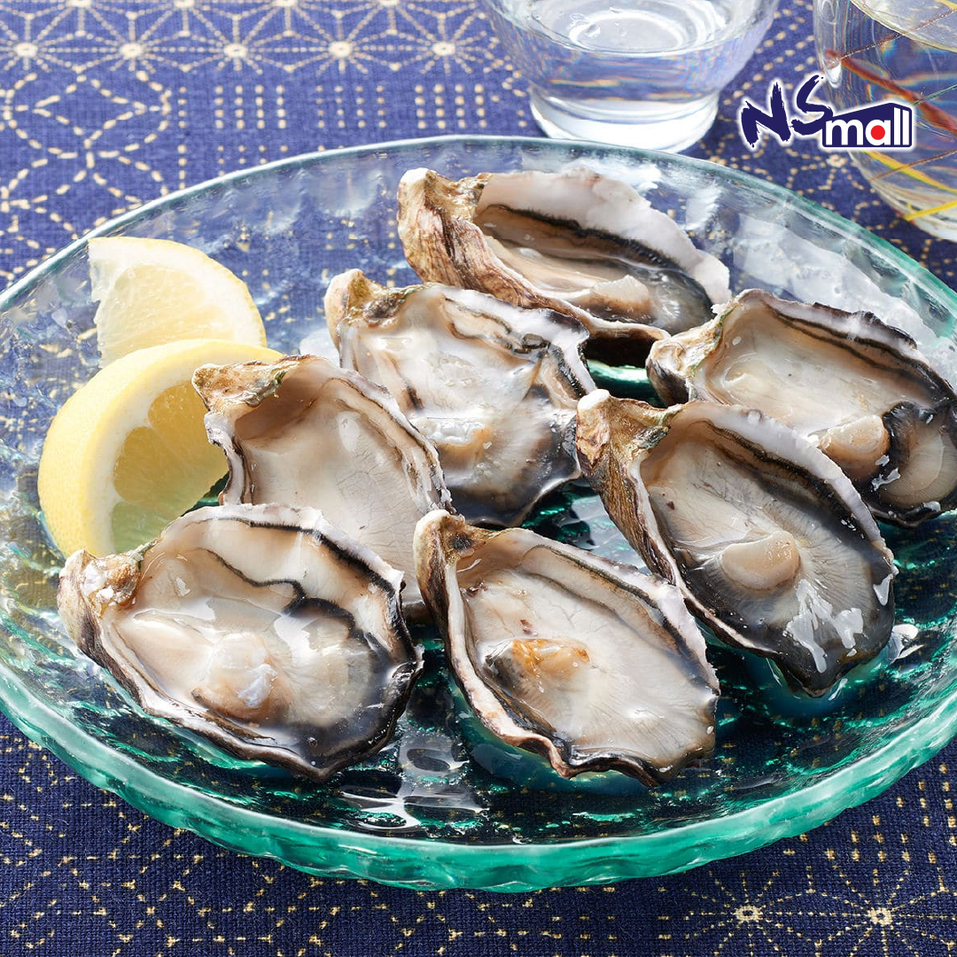 大分県中津 ひがた美人 生蠔 50-80g/隻