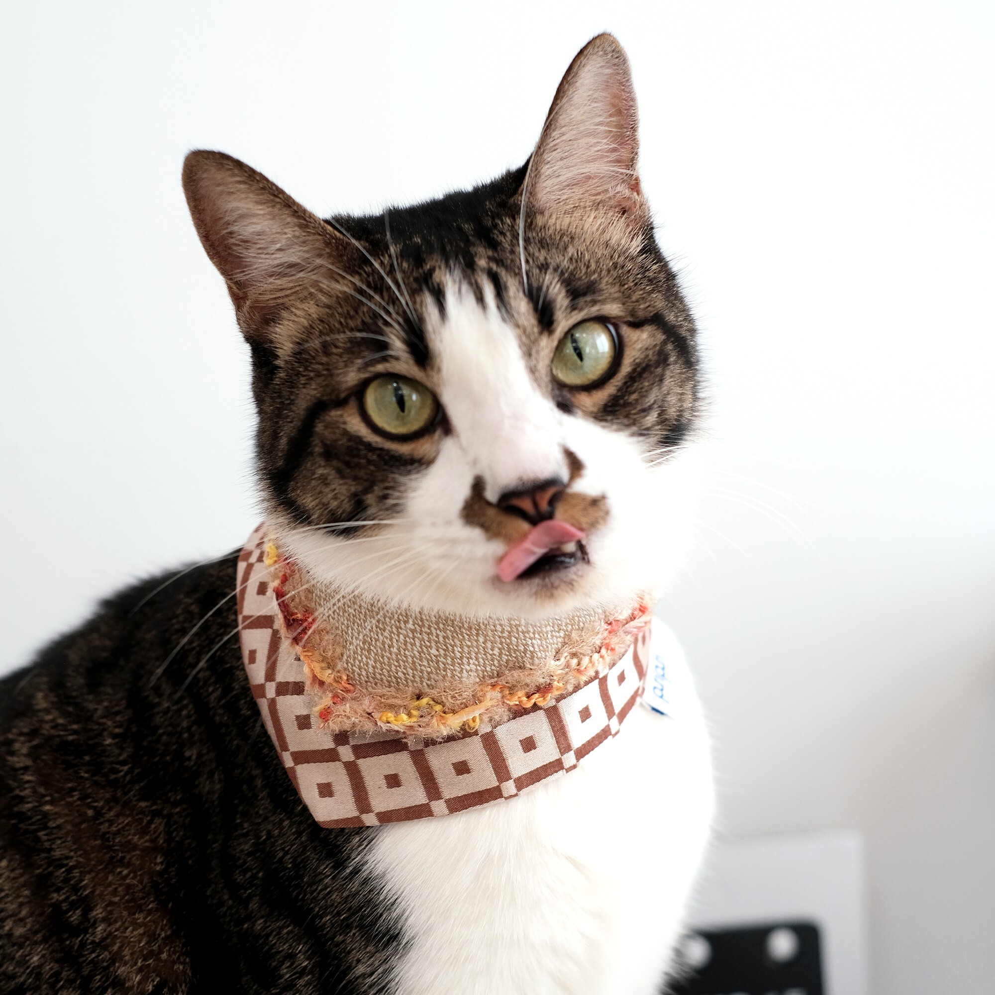 PuriPuri® 寵物領巾 – 迎春金磚