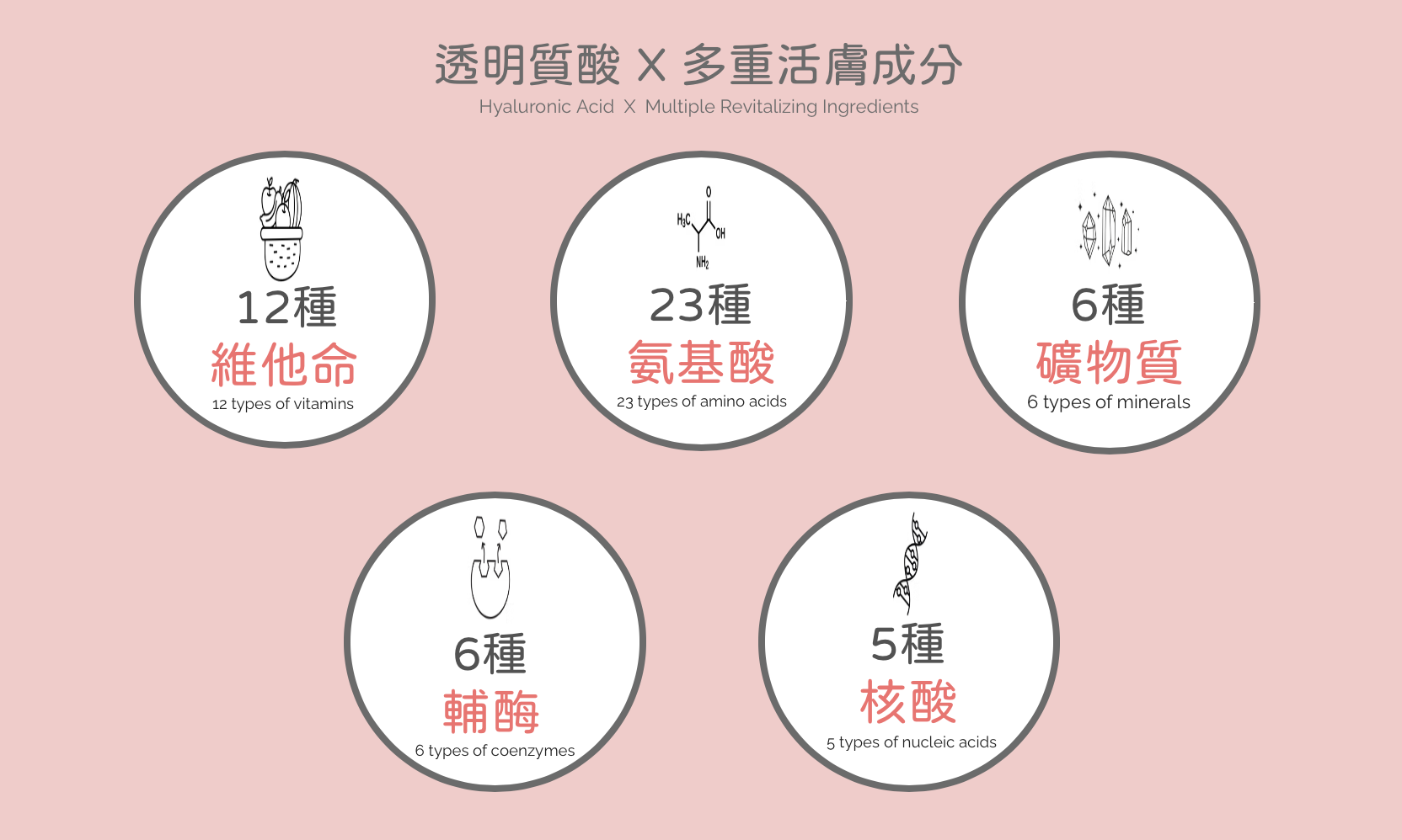 Filorga 菲洛嘉 水光針 醫美診所 菲洛嘉 水光针 医美诊所