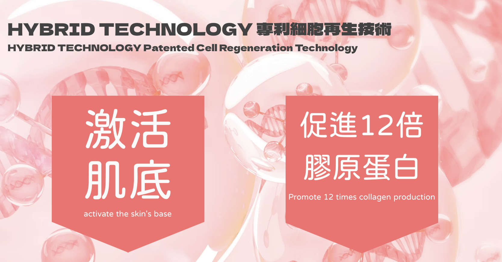 Profhilo 逆時針 水光針 醫美診所 逆时针 水光针 医美诊所