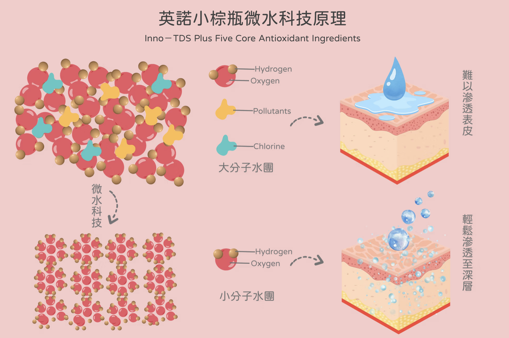 英諾祛黑小棕瓶升級版 美白 水光針 醫美診所 英诺祛黑小棕瓶升级版 美白 水光针 医美诊所