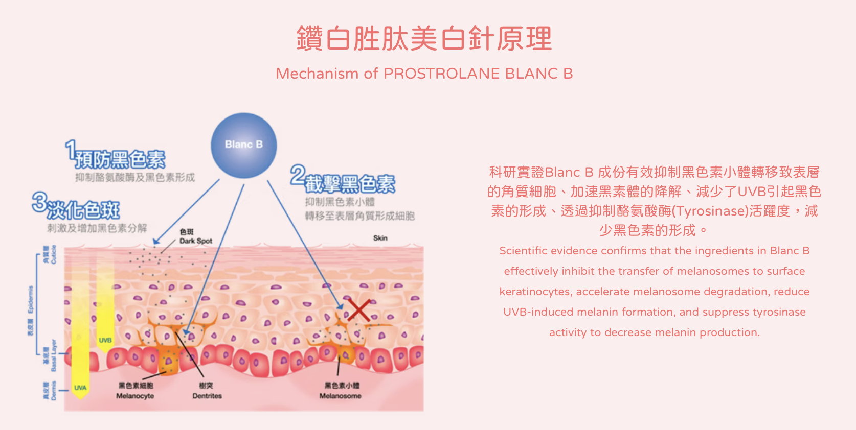 Blanc B 鑽白胜肽美白針 水光針 醫美診所 钻白胜肽美白针 水光针 医美诊所