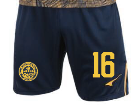 23-24大埔足球隊 二客比賽球褲