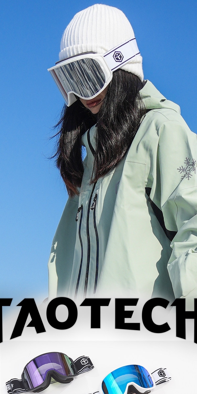 【TAOTECH】設計款風鏡_偏光_2425