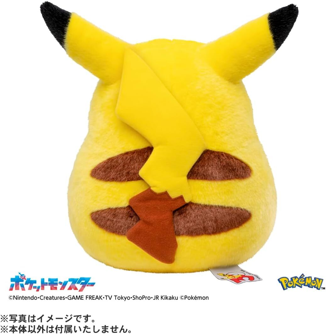 Pokemon 30th  Anni. Come Back Pikachu  1/1 Asia Ver. (亞洲版為袋裝)