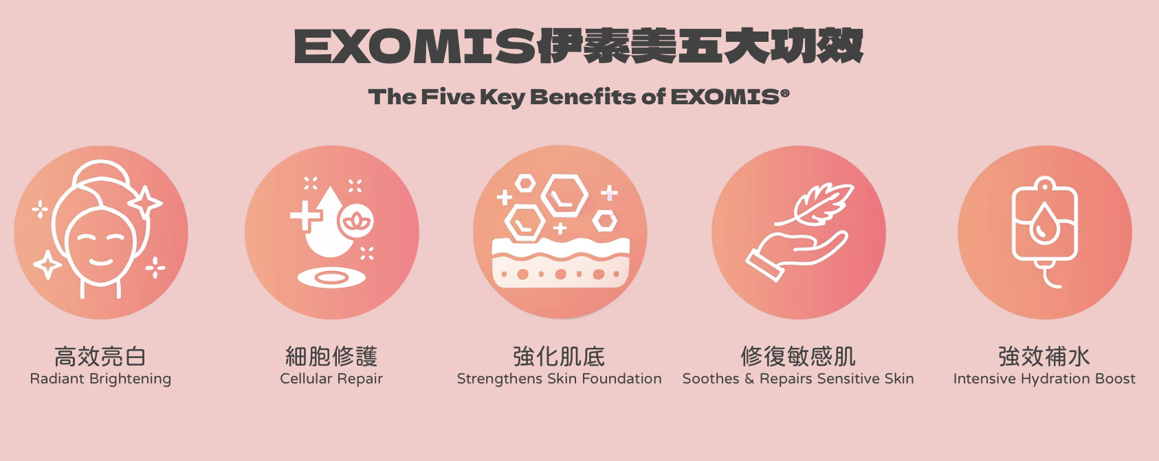 ​韓國EXOMIS伊素美醫學級幹細胞外泌體水光 醫美診所 医学级干细胞外泌体水光 医美诊所