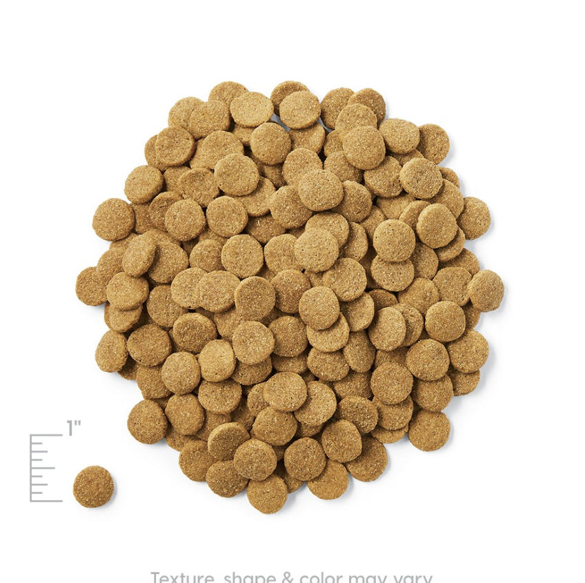 Solid Gold 素力高羊肉成犬糧 24LB