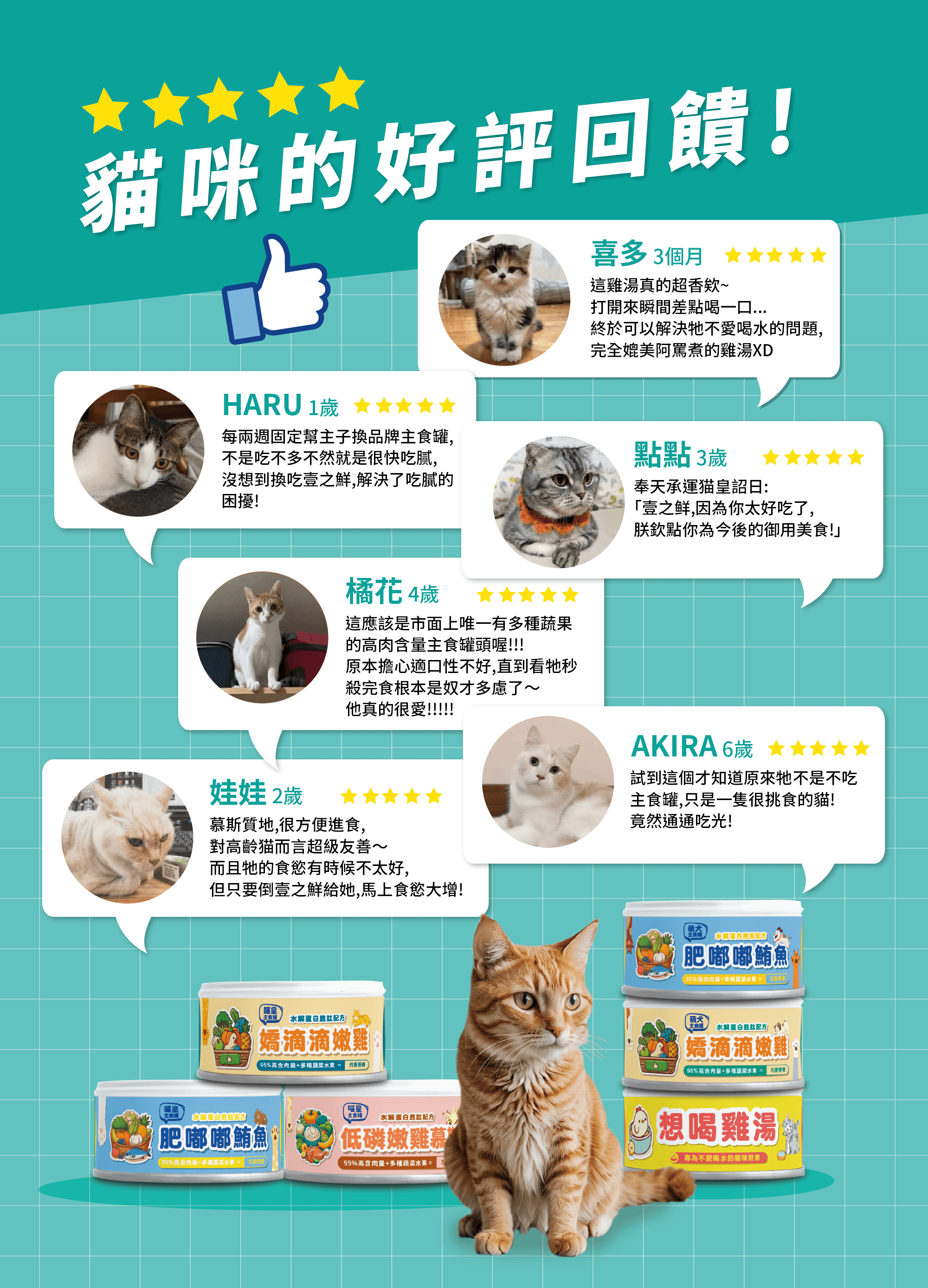 壹之鮮水解蛋白全齡貓主食罐與湯罐,貓咪五星好評回饋集合;包含多位貓咪飼主分享嗜口性佳、願意吃、適合挑嘴貓,畫面展示多款口味罐頭與貓咪照片。