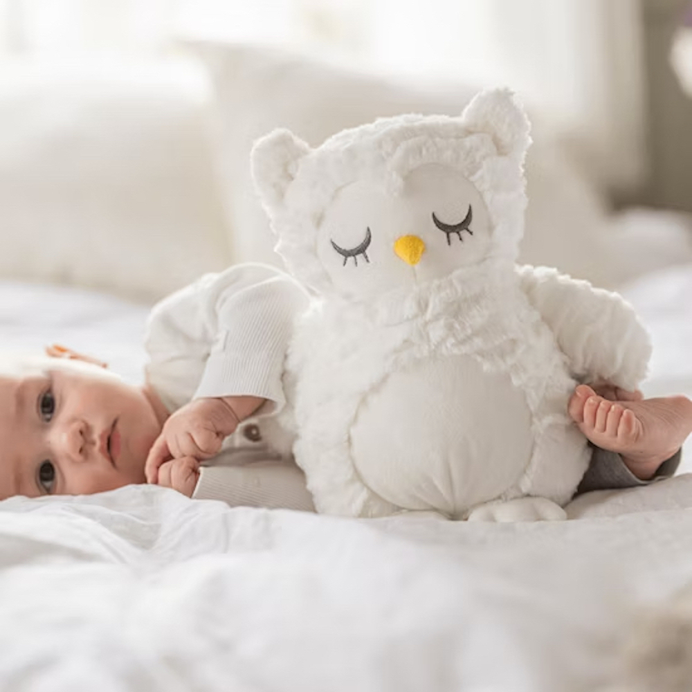 Teddykompaniet 涼感/暖暖 貓頭鷹