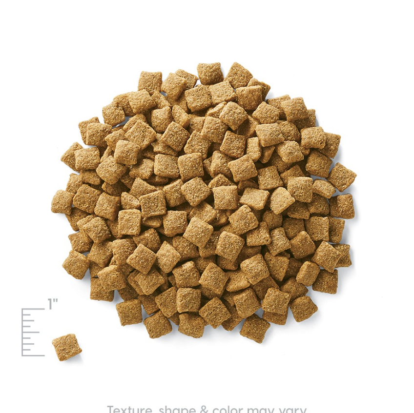 Solid Gold 素力高 抗敏減肥成犬糧 24LB (4lb X6)