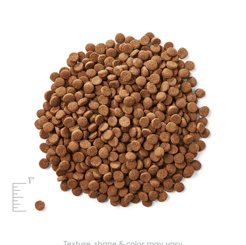 Solid Gold 素力高 無穀物雞肉抗敏全貓糧 12LB