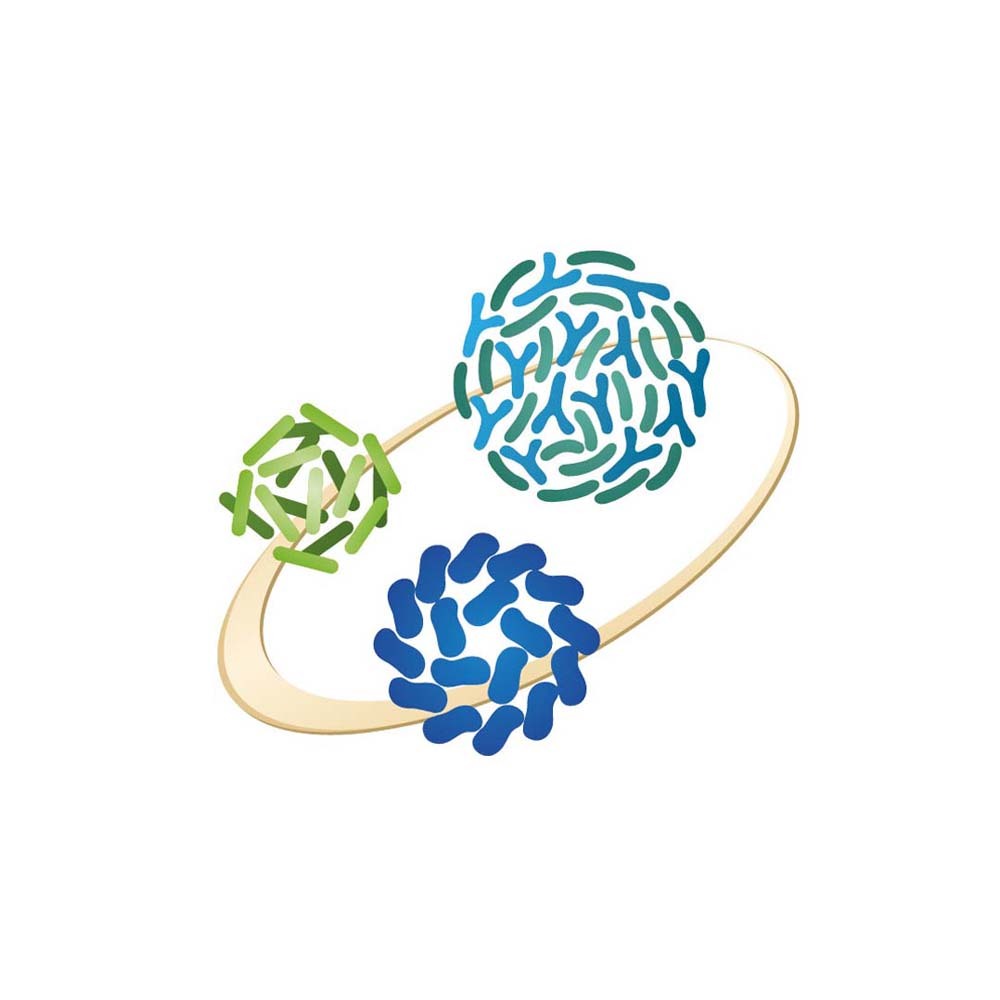 【格萊思美】日本 ABS乳酸菌 30包