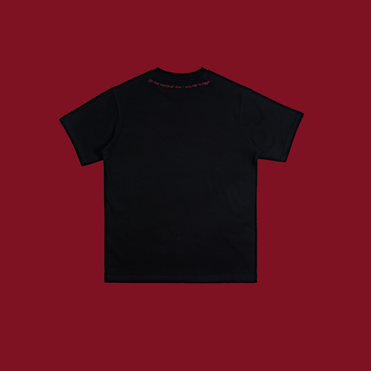 PLEASURE TOUR 官方 LOGO T 恤【七罪盲盒】