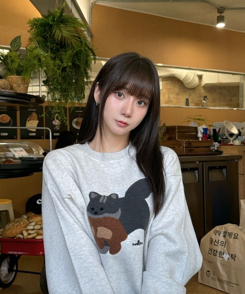 【限時預購】韓國 Ambler 貓咪 熊熊 毛絨刺繡 Cat biting Little bear 立體 毛毛 內刷毛 大學Tee 多款可選