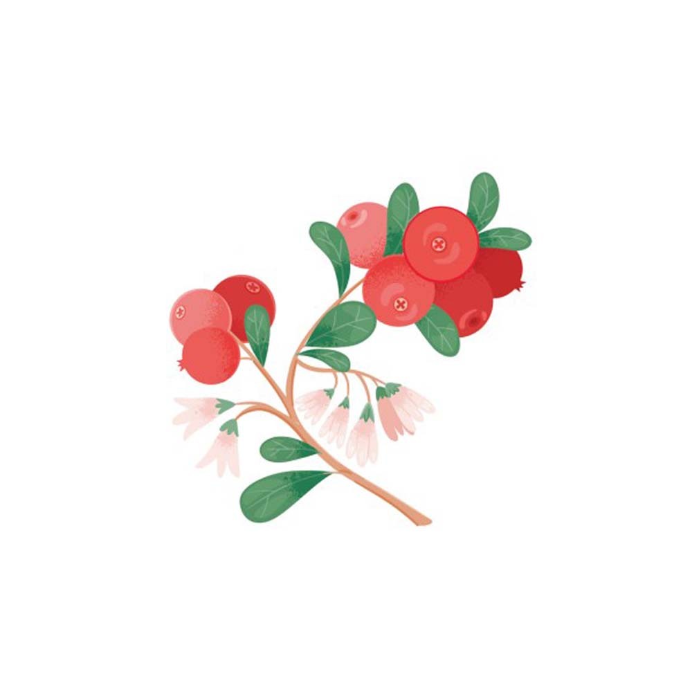 【格萊思美】蔓越莓EX甘露糖 60粒