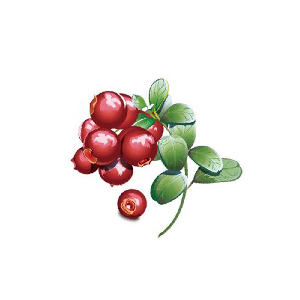 【格萊思美】蔓越莓EX甘露糖 300粒