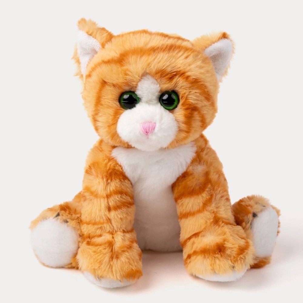 Teddykompaniet 橘貓