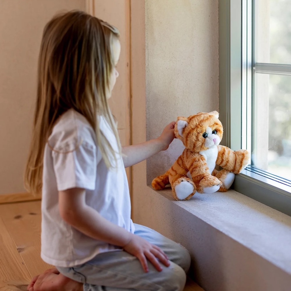 Teddykompaniet 橘貓