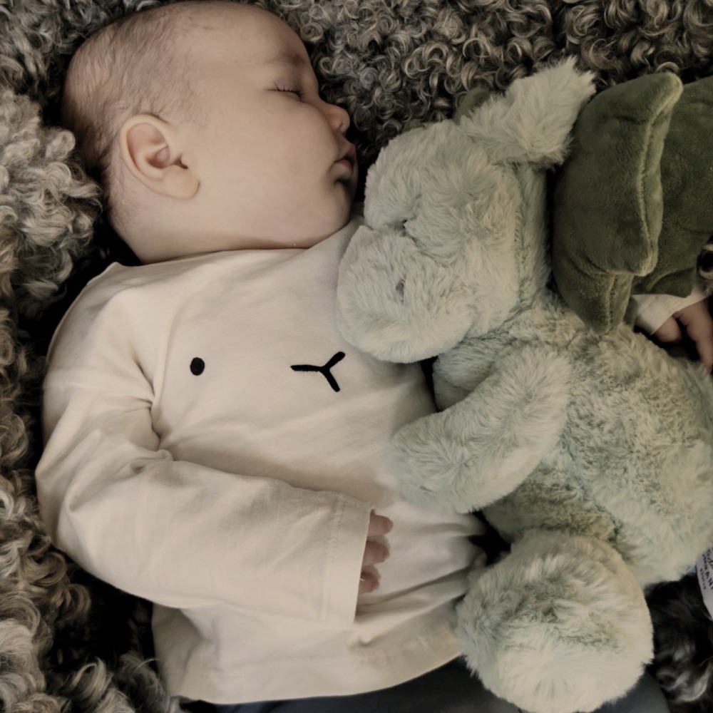 Teddykompaniet 涼感/暖暖 恐龍