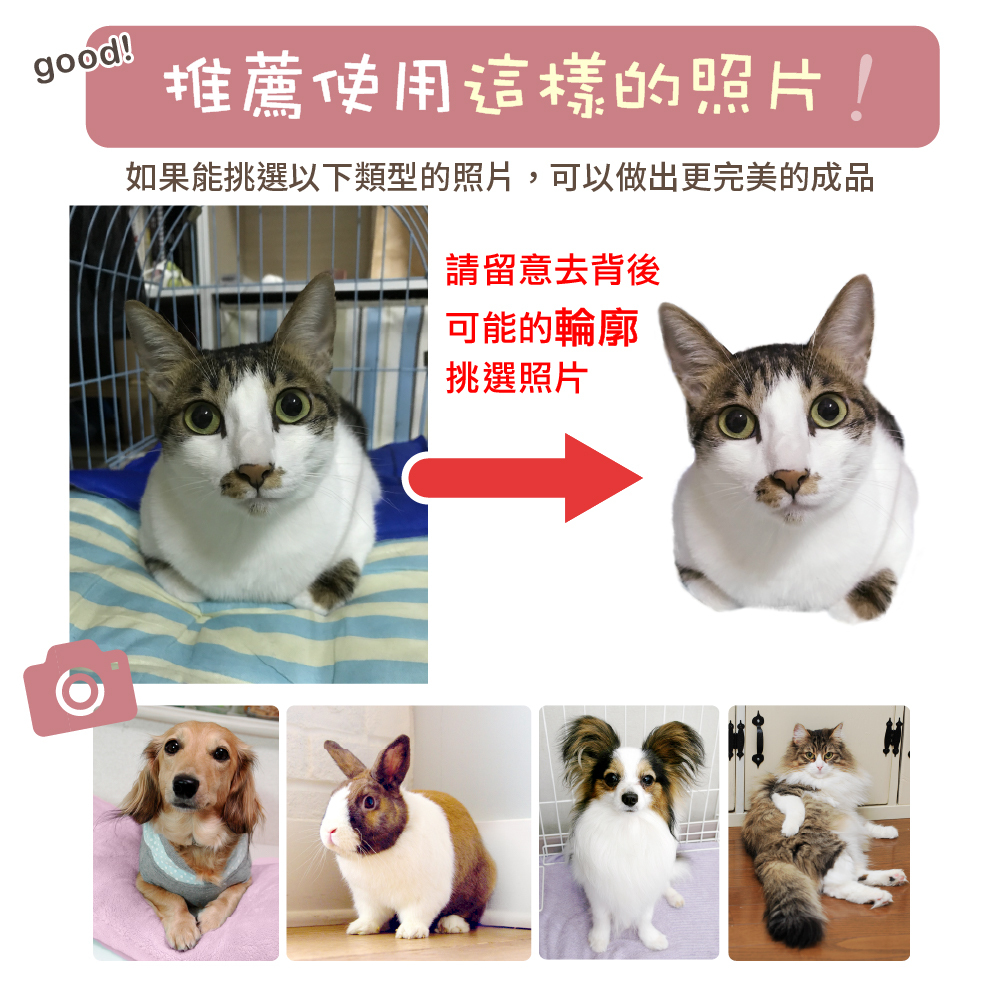 照片挑選範例 1