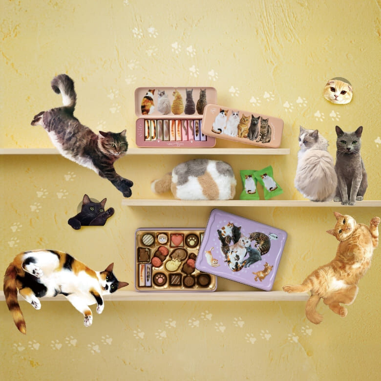 2026 日本新年禮盒 Neko Mire 貓貓系列朱古力/ 多款