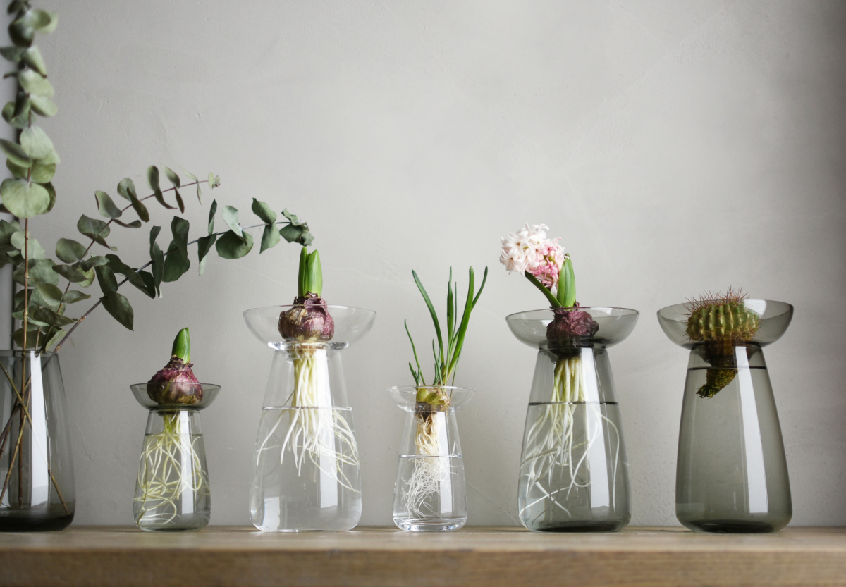 KINTO-AQUA CULTURE 玻璃花瓶，晶透純淨的玻璃，上寬上窄的造型設計