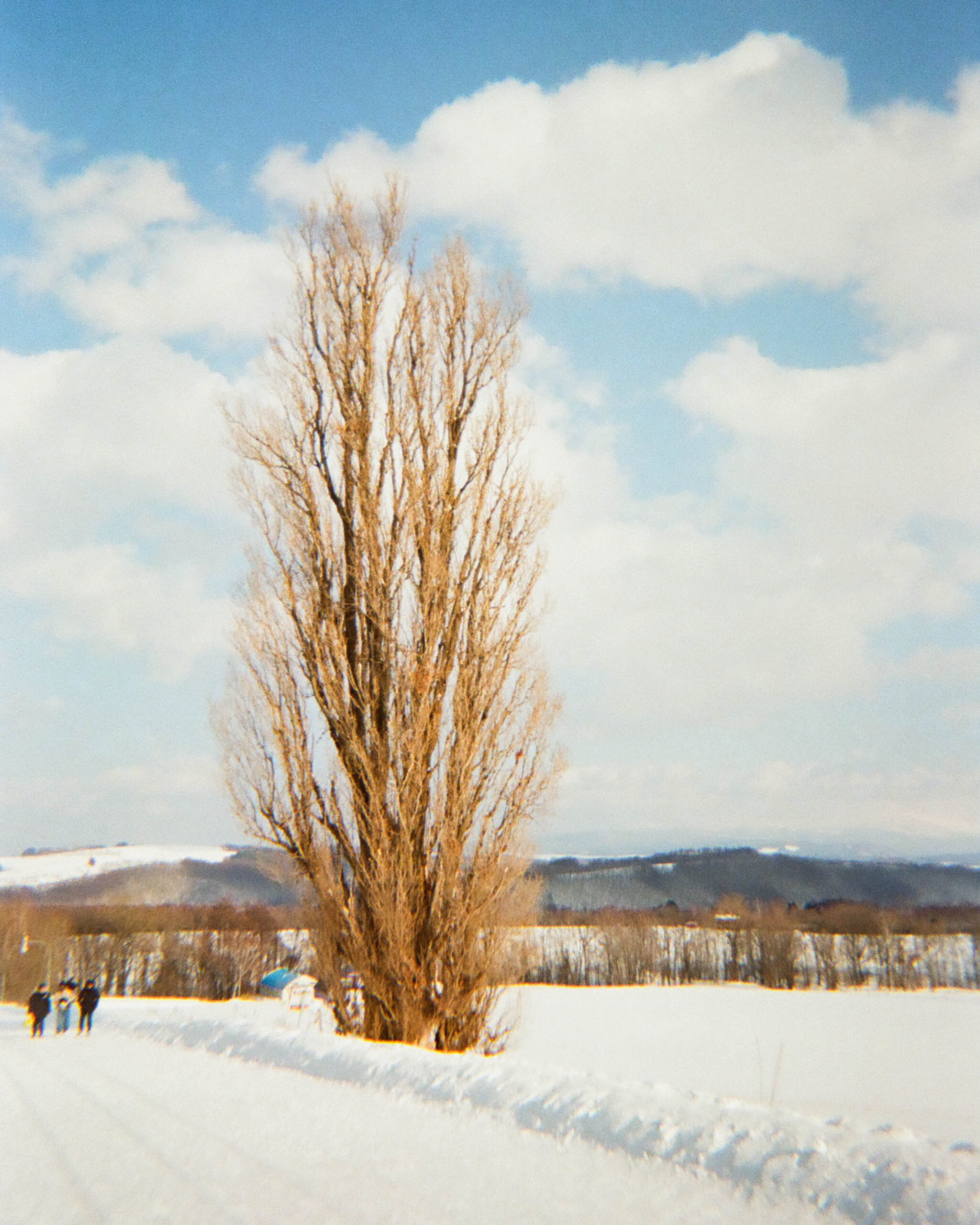 Sanrio Camera Blind Box 三麗鷗一次性即可拍盲盒 室外實拍效果照