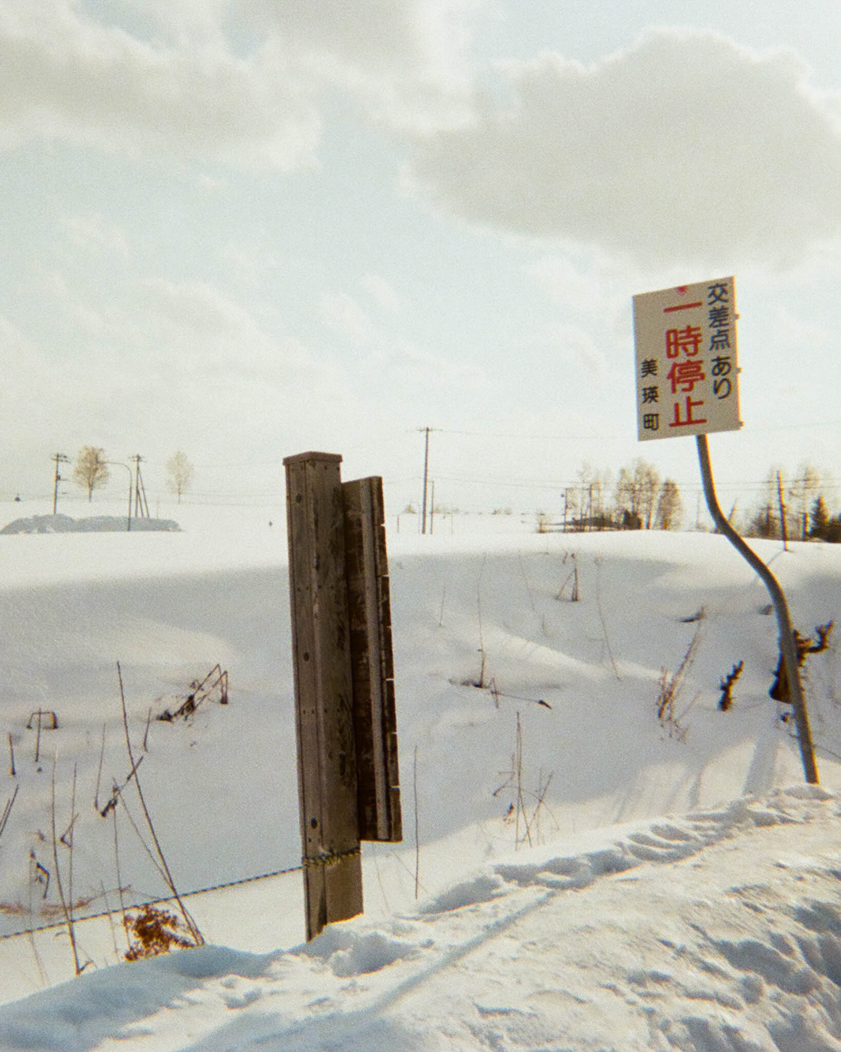 Sanrio Camera Blind Box 三麗鷗一次性即可拍盲盒 官方室外實拍效果照