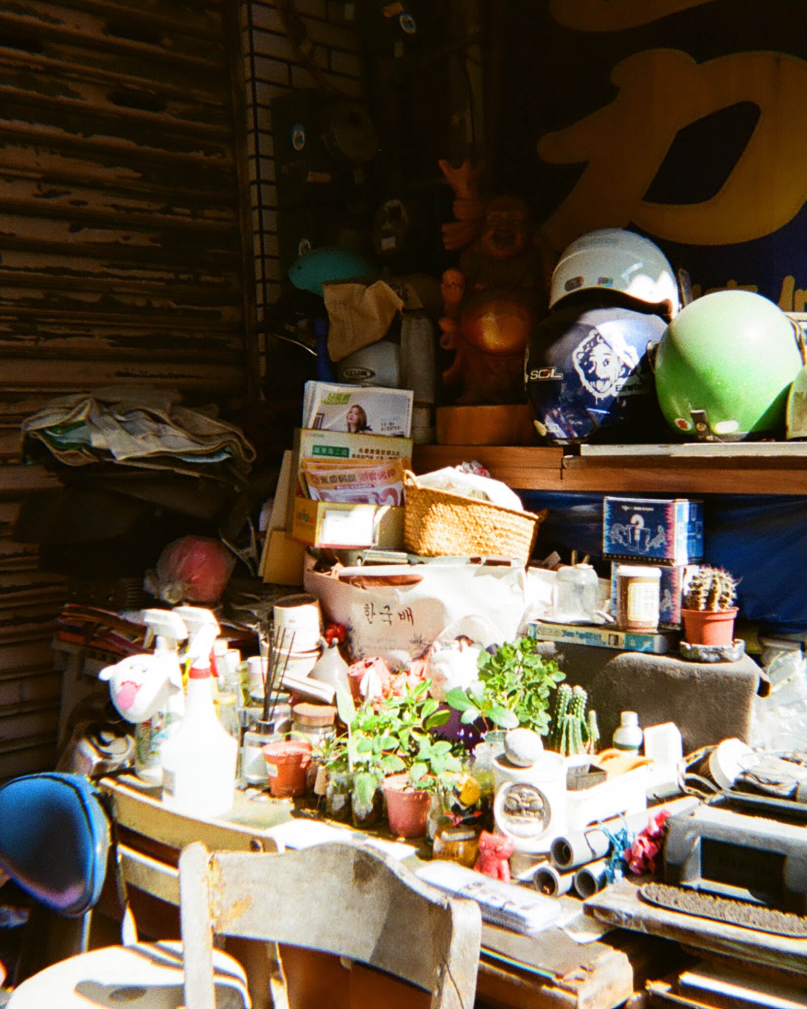 Sanrio Camera Blind Box 三麗鷗一次性即可拍盲盒 景物實拍照