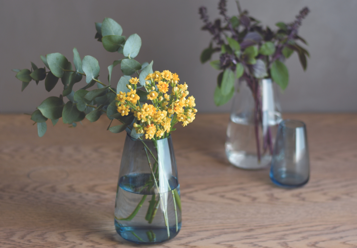 KINTO-AQUA CULTURE 玻璃花瓶，令人能輕鬆地照顧只需要水而不需要光的室內植物