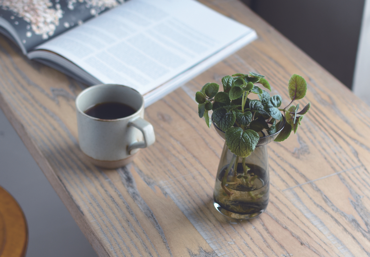 KINTO-AQUA CULTURE 玻璃花瓶，進行種植計畫、讓空間多一點綠意