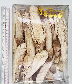 精選原色竹笙3両-M