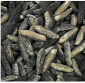 澳洲海參15-20支113g-M