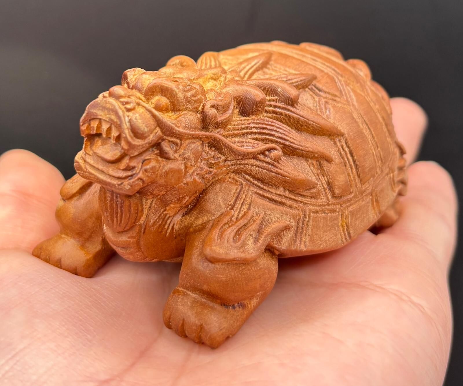 NC260119-H10-VL004-雷擊木龍龜擺件(需留中文全名，已包開光，會提供開光視頻，3月頭到貨只限尖沙咀門店自取）